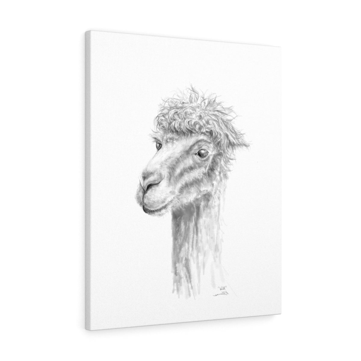WILL Llama - Art Canvas