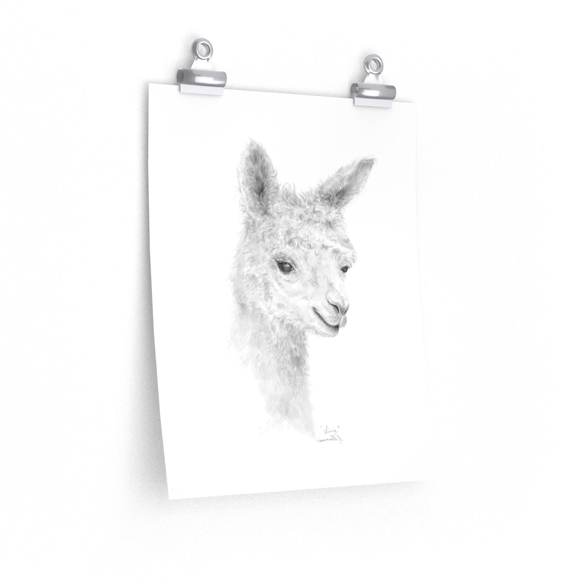LIVIE Llama- Art Paper Print