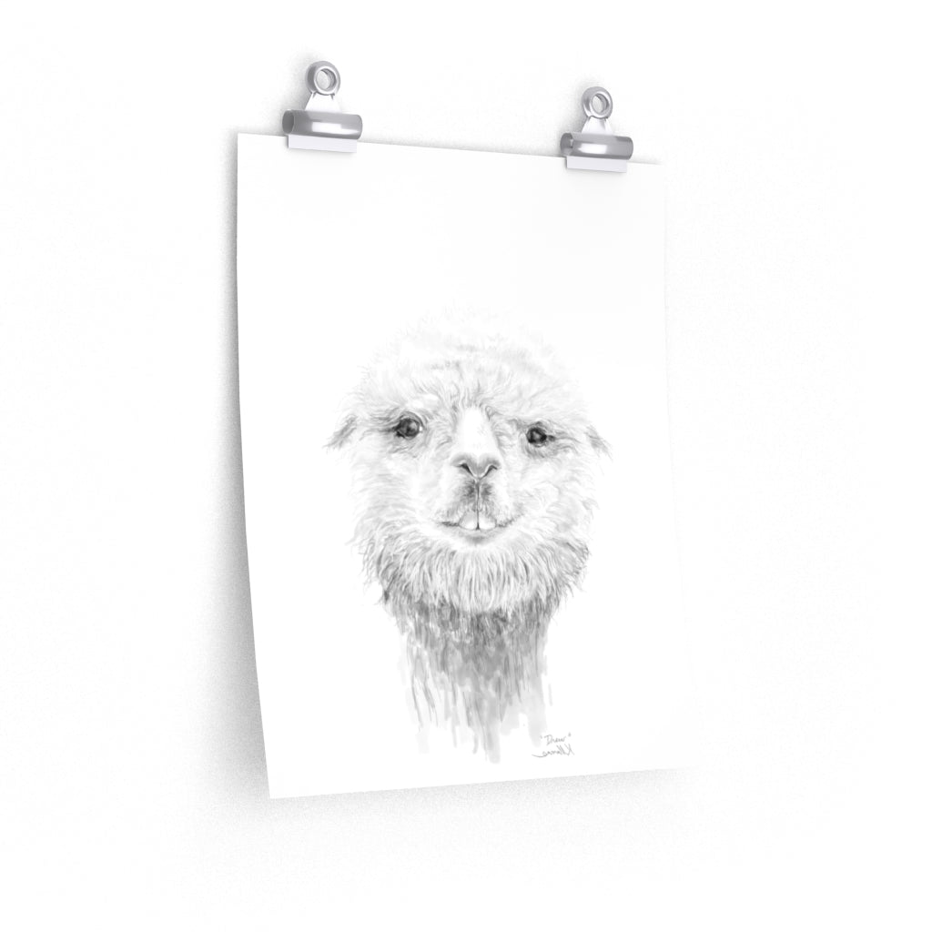 DREW Llama- Art Paper Print