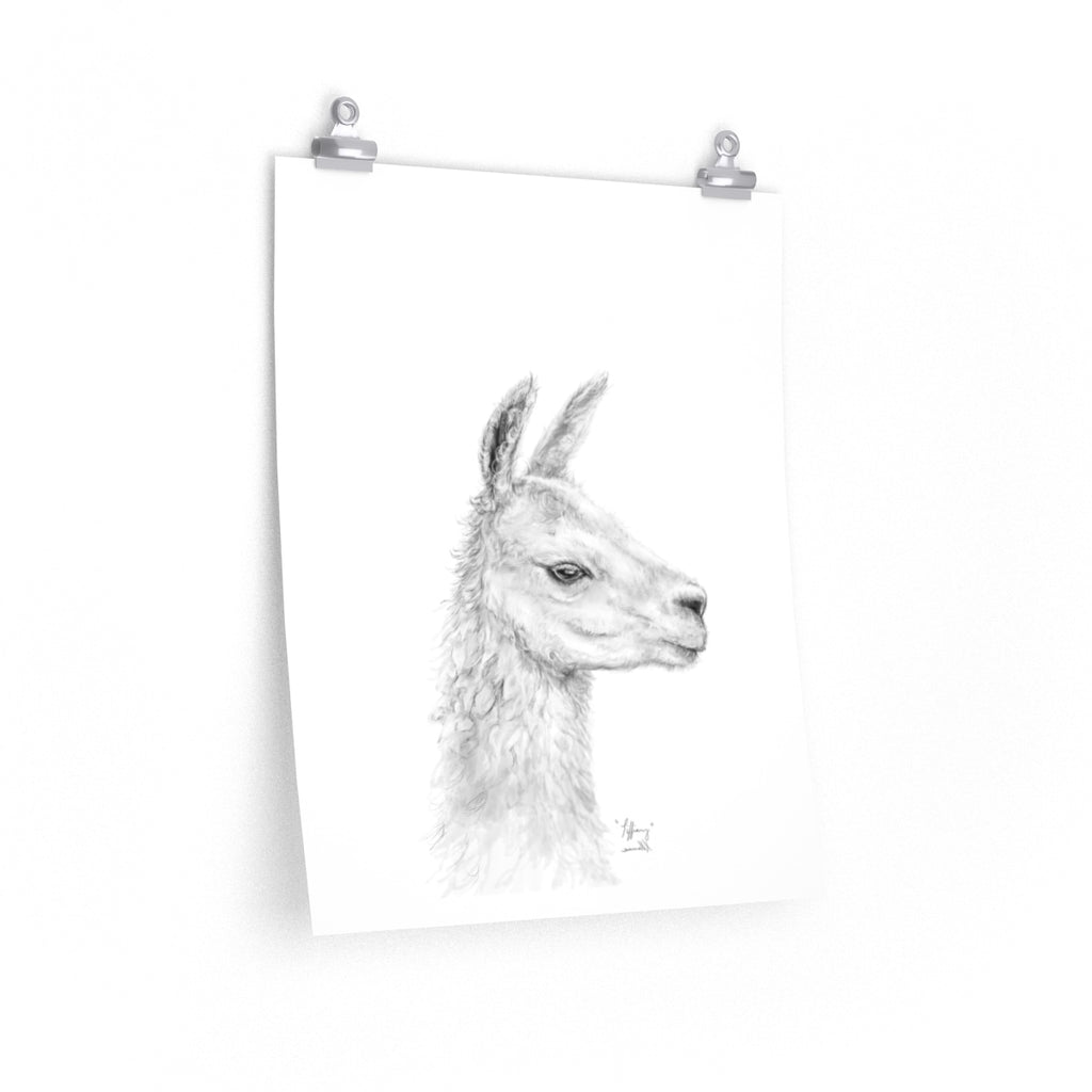 TIFFIANY Llama- Art Paper Print