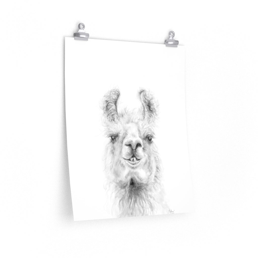 JOHN Llama- Art Paper Print