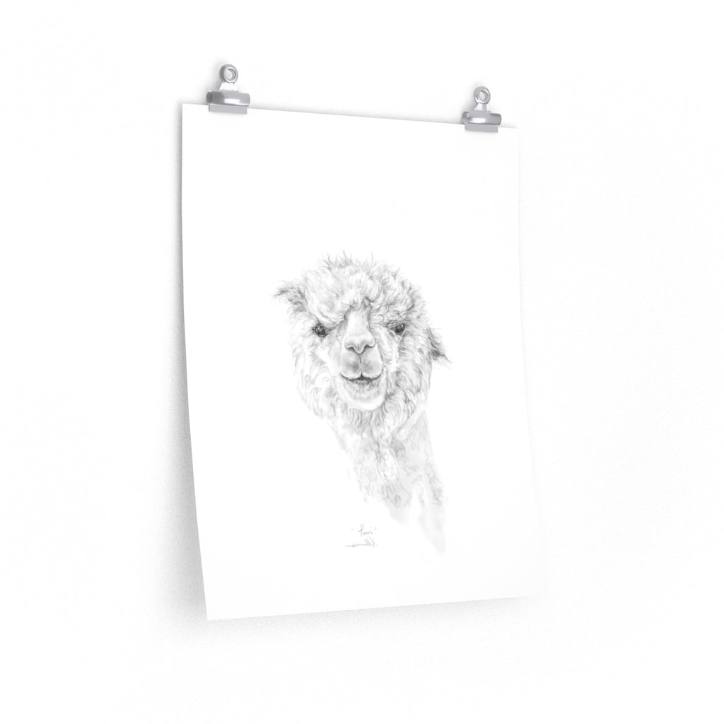 TAVI Llama- Art Paper Print