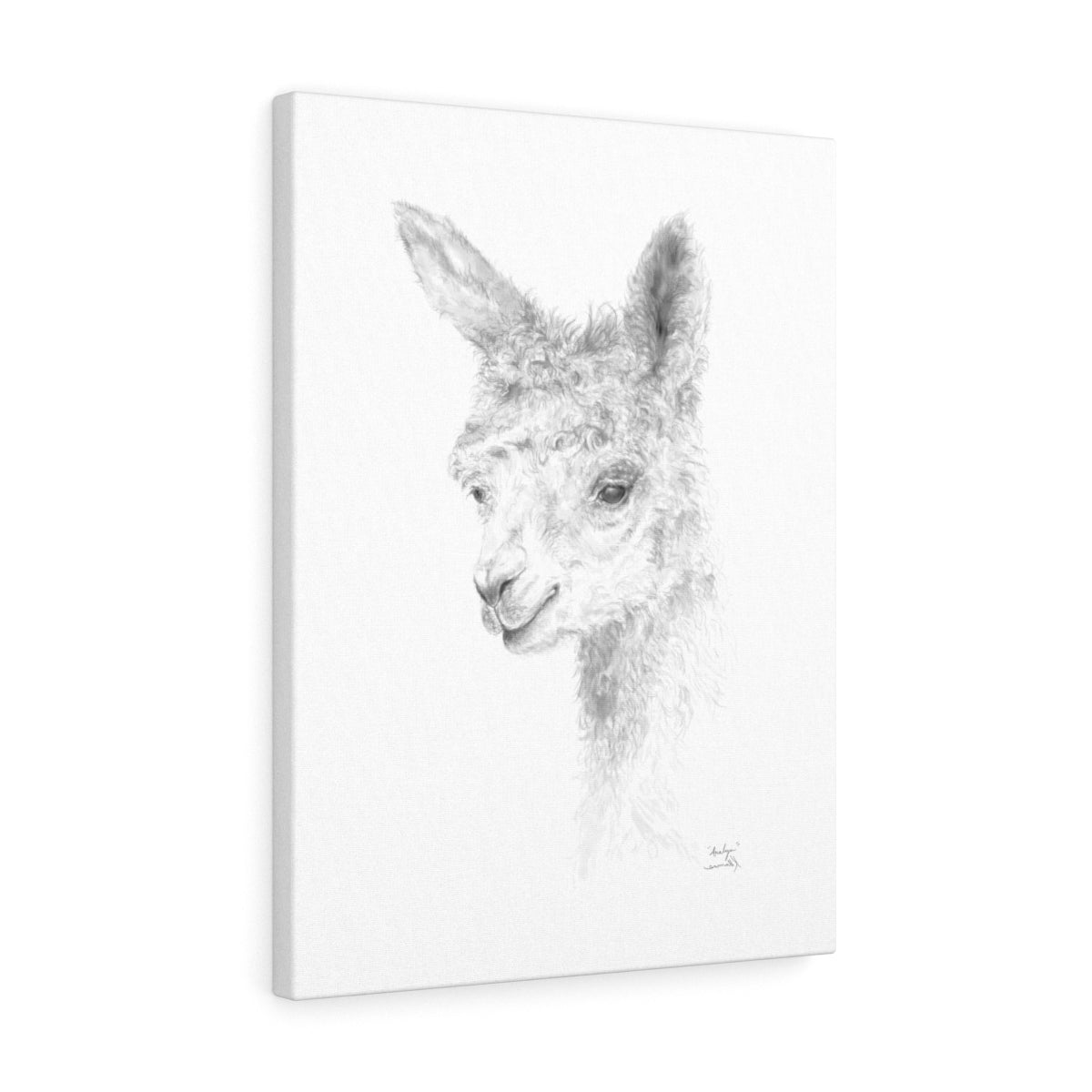 ANALYN Llama- Art Canvas