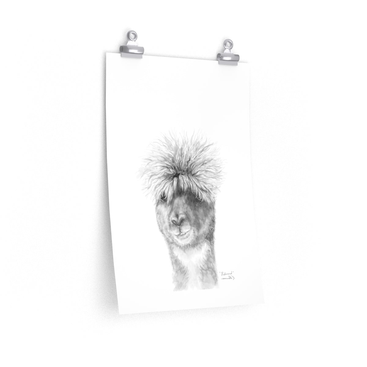 RICHMOND Llama- Art Paper Print