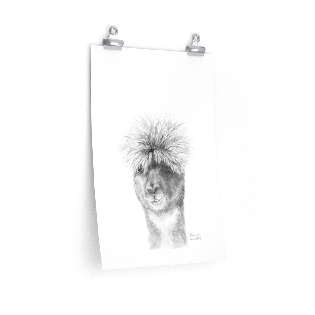 RICHMOND Llama- Art Paper Print