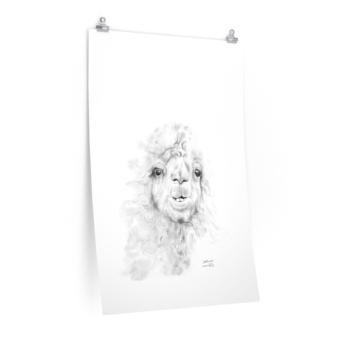 ANTONIO Llama- Art Paper Print