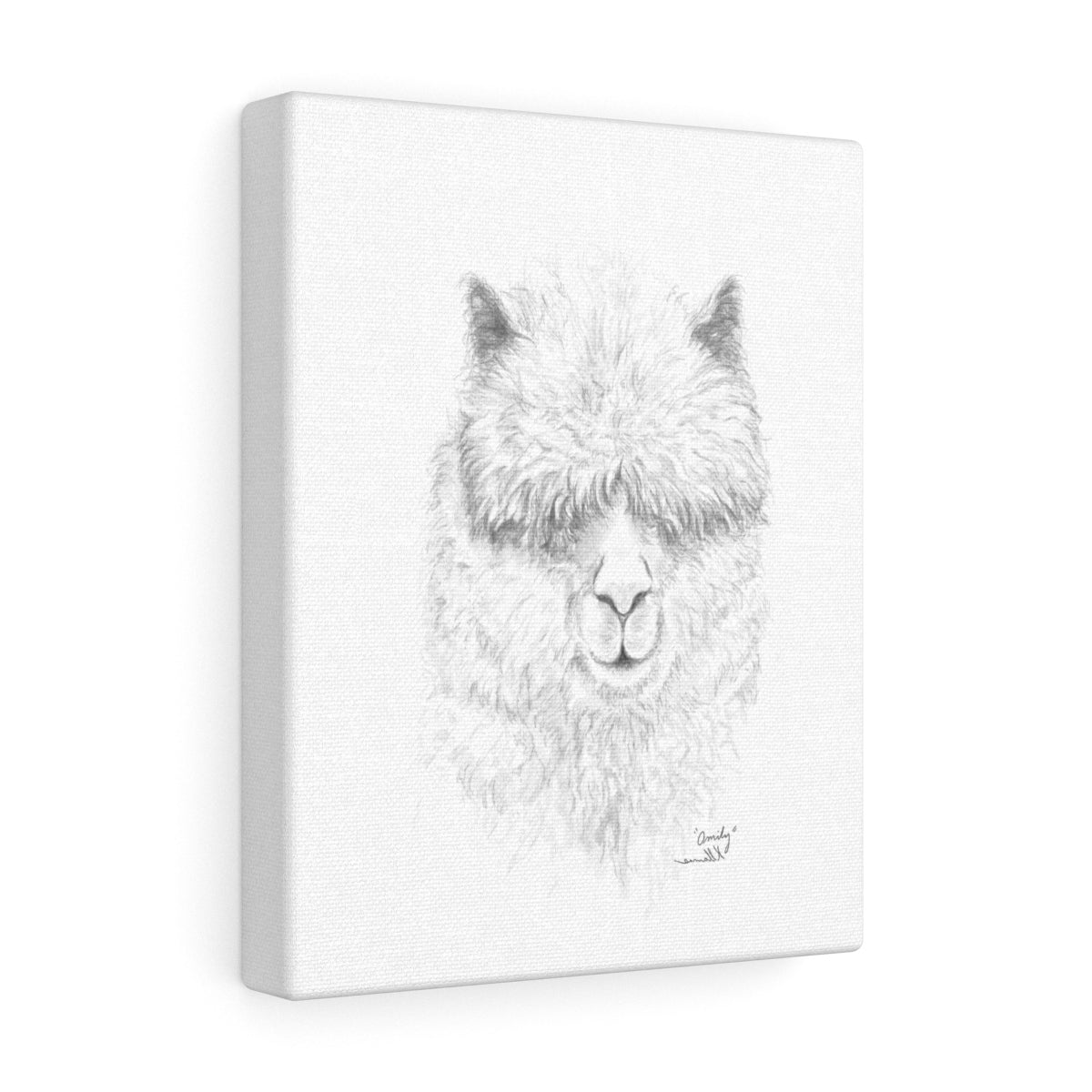 OMILY Llama - Art Canvas