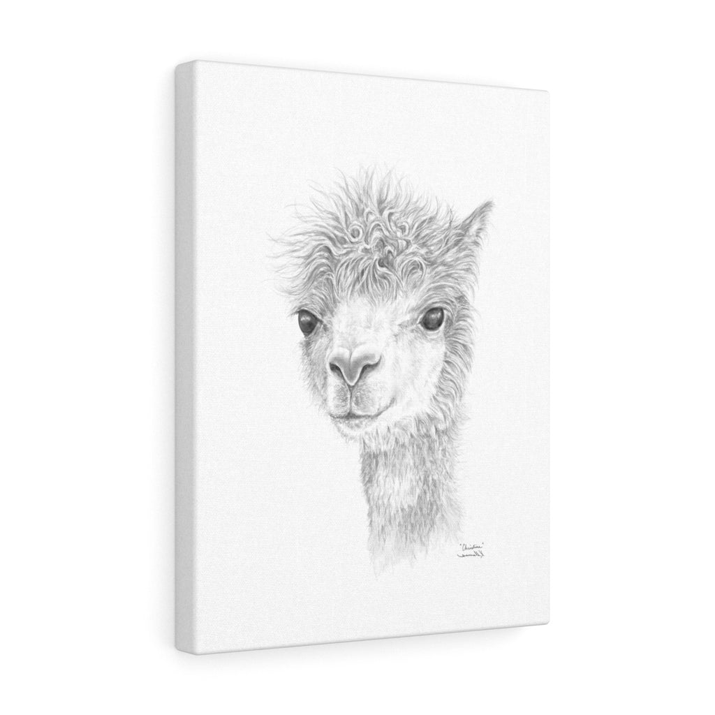 CHRISTINE Llama - Art Canvas
