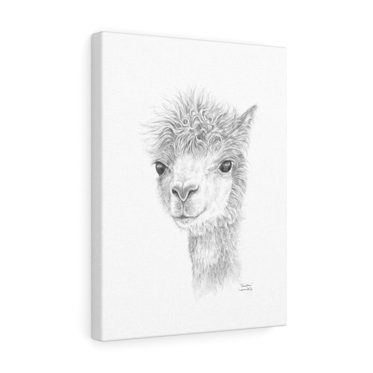 CHRISTINE Llama - Art Canvas