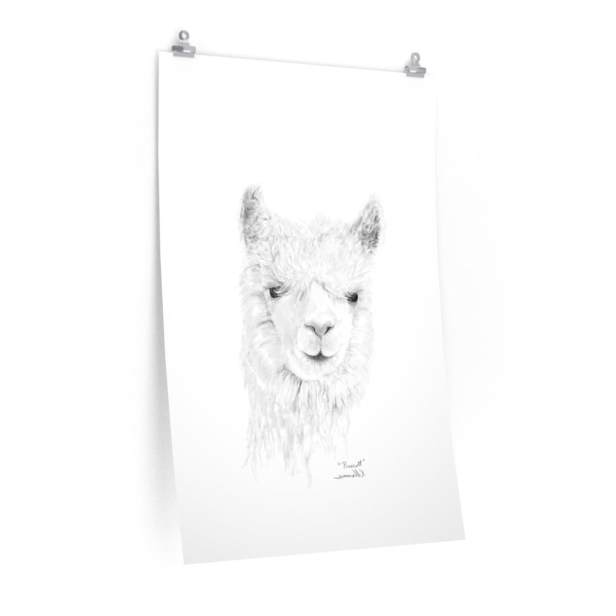 PRESCOTT Llama- Art Paper Print