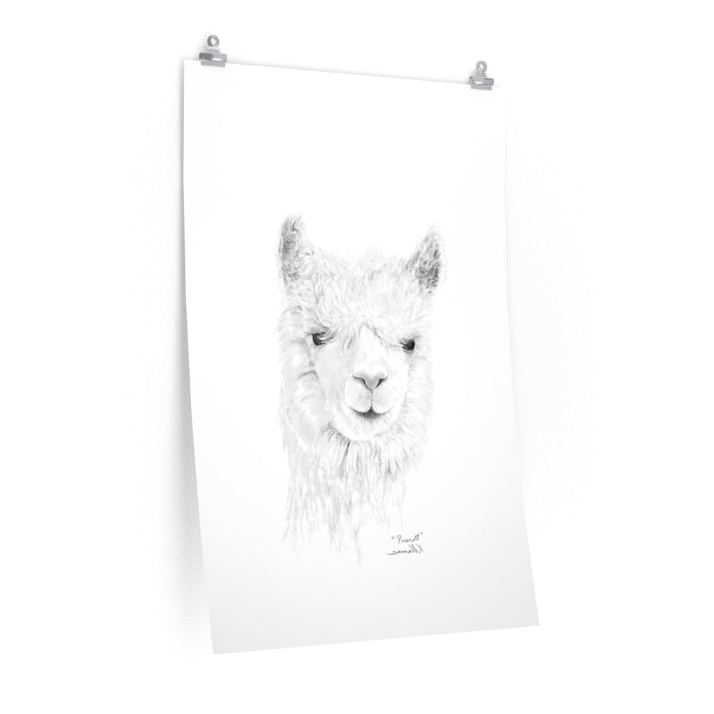 PRESCOTT Llama- Art Paper Print