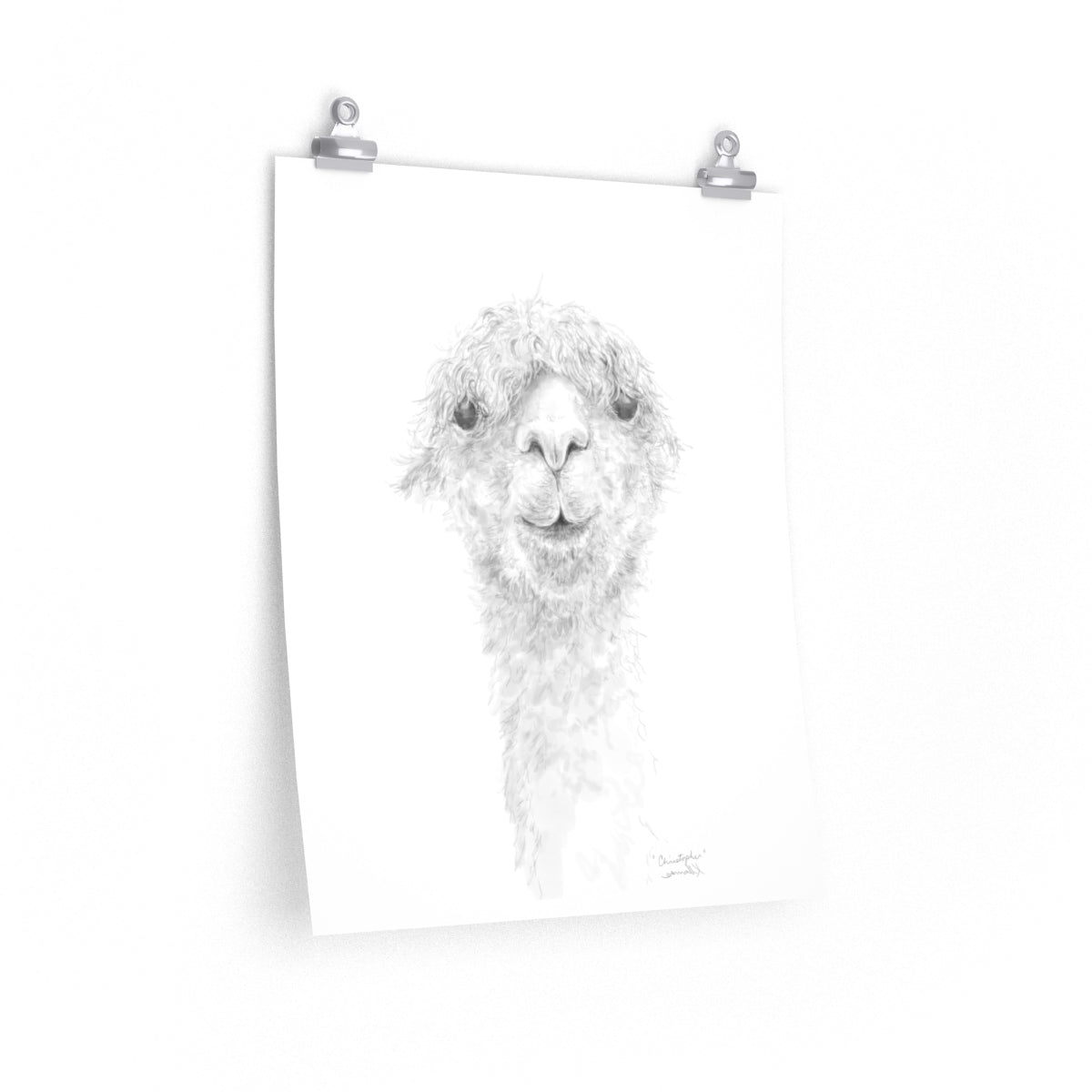 CHRISTOPHER Llama- Art Paper Print