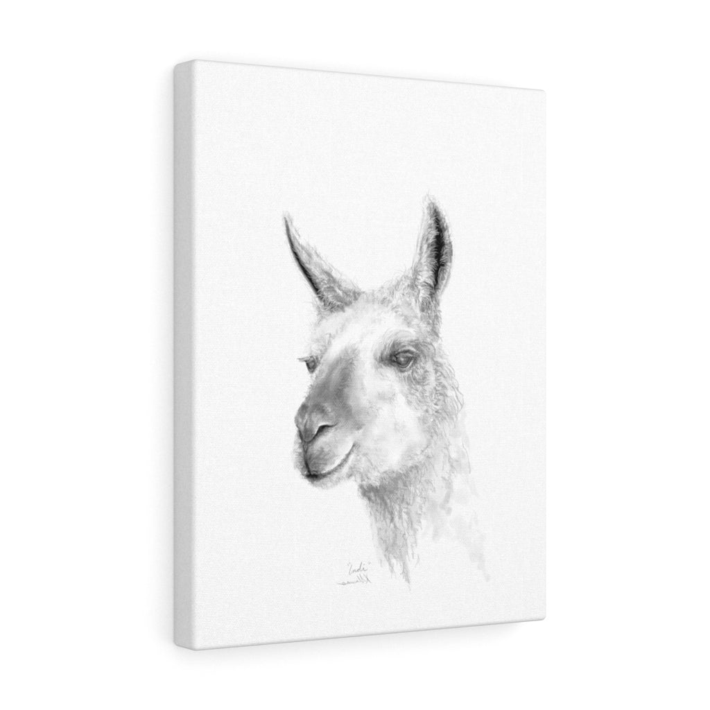 INDI Llama - Art Canvas