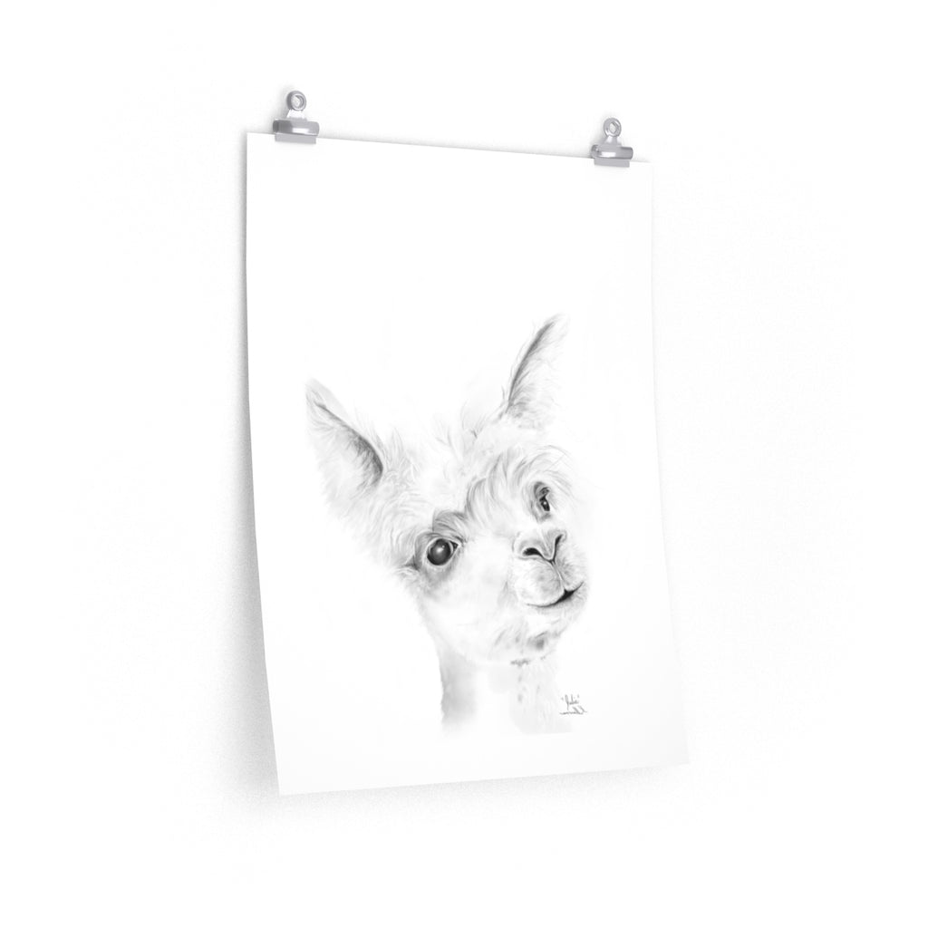 JULIE Llama- Art Paper Print