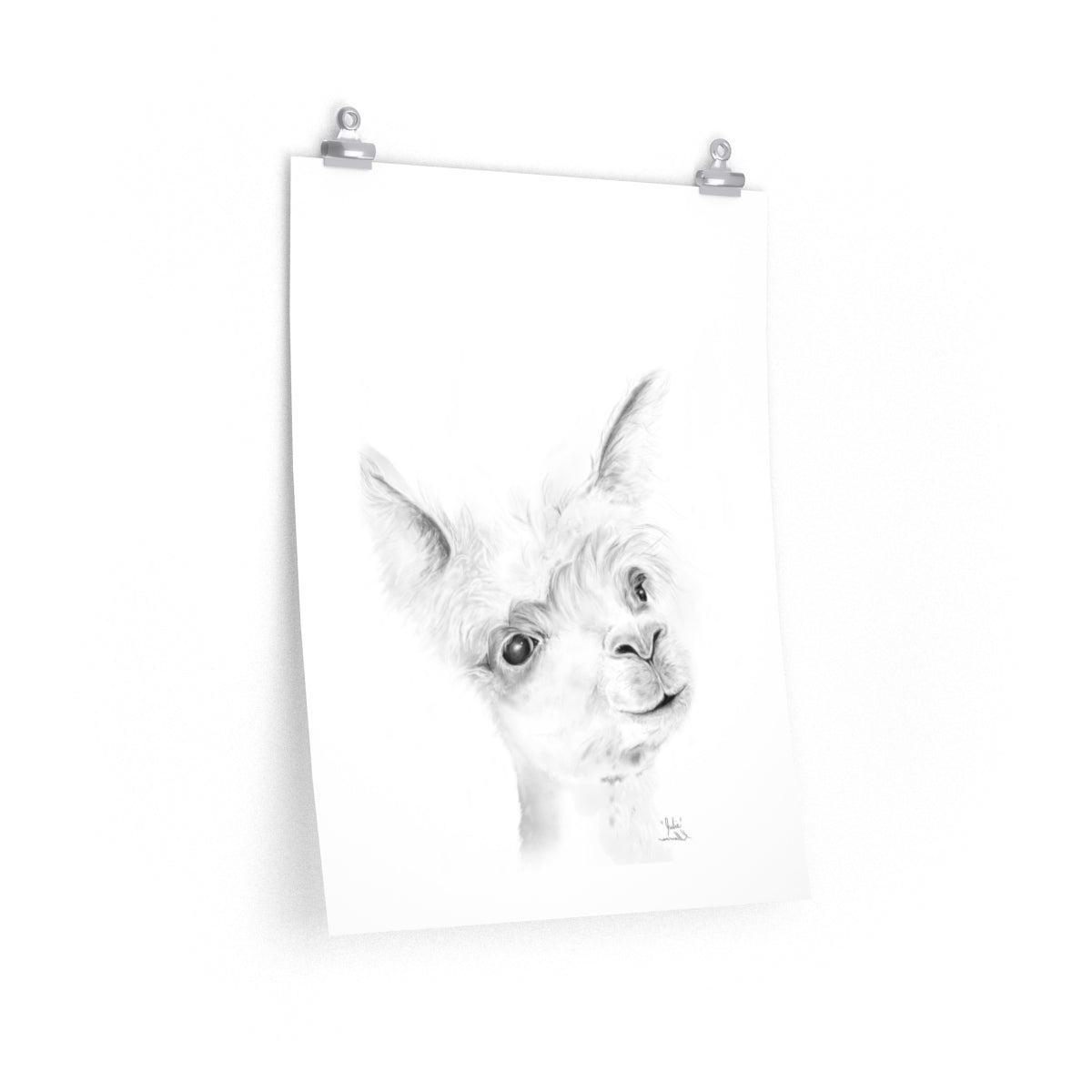 JULIE Llama- Art Paper Print