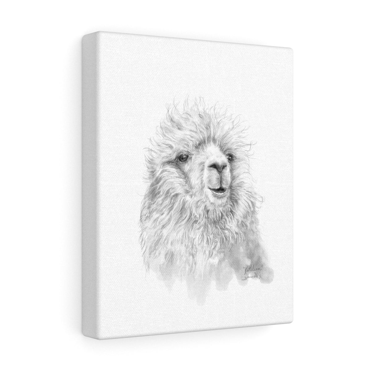 KATHLEEN Llama - Art Canvas