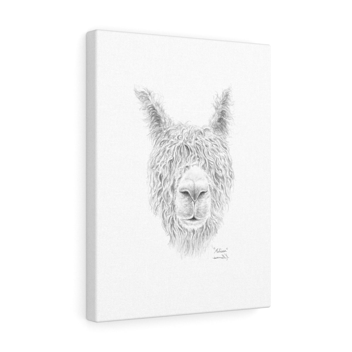 MELISSA Llama - Art Canvas