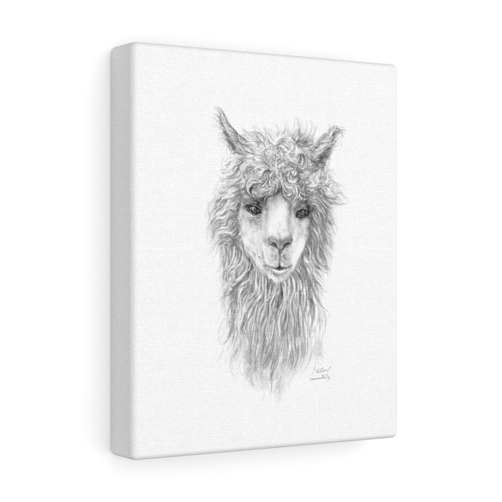 WILLOW Llama - Art Canvas