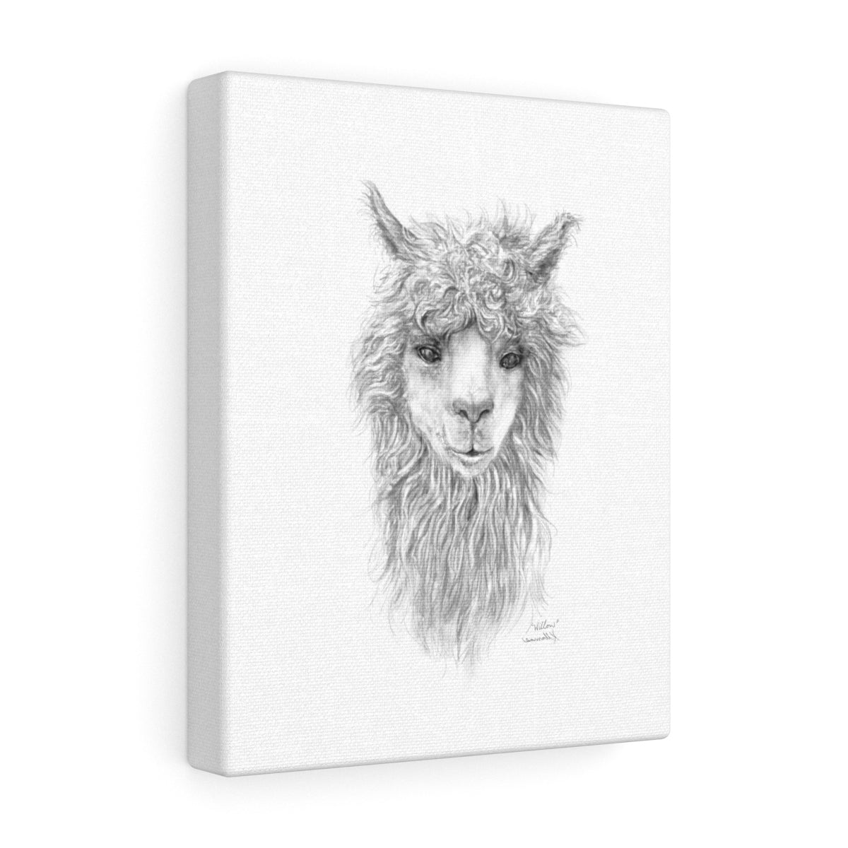 WILLOW Llama - Art Canvas