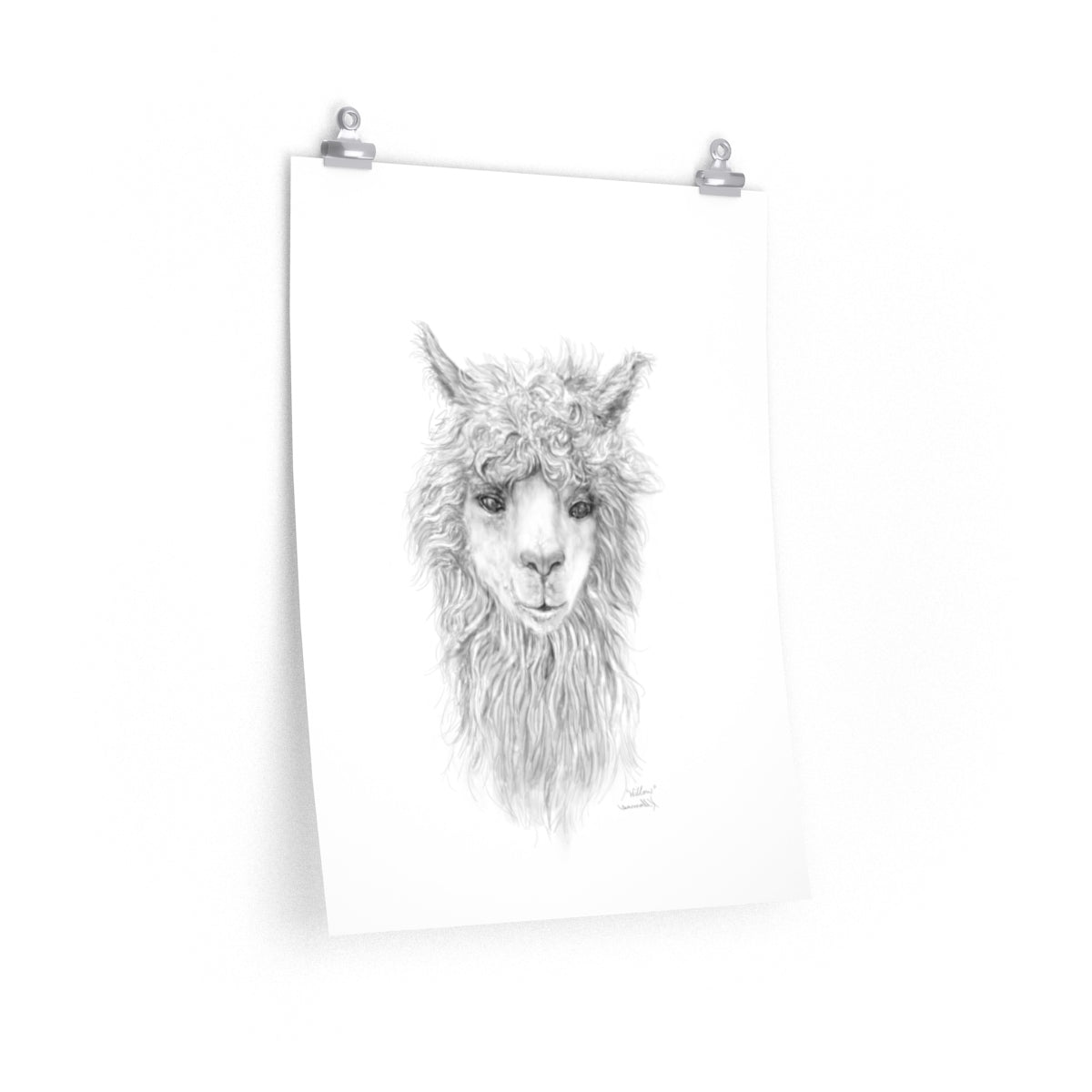 WILLOW Llama- Art Paper Print
