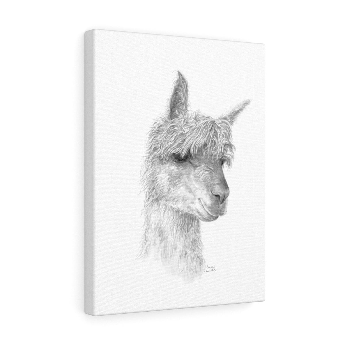 AUSTIN Llama - Art Canvas