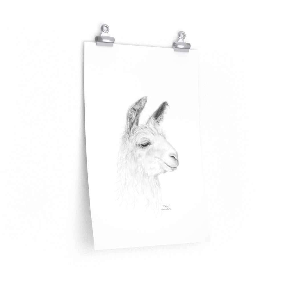 MARIA Llama- Art Paper Print