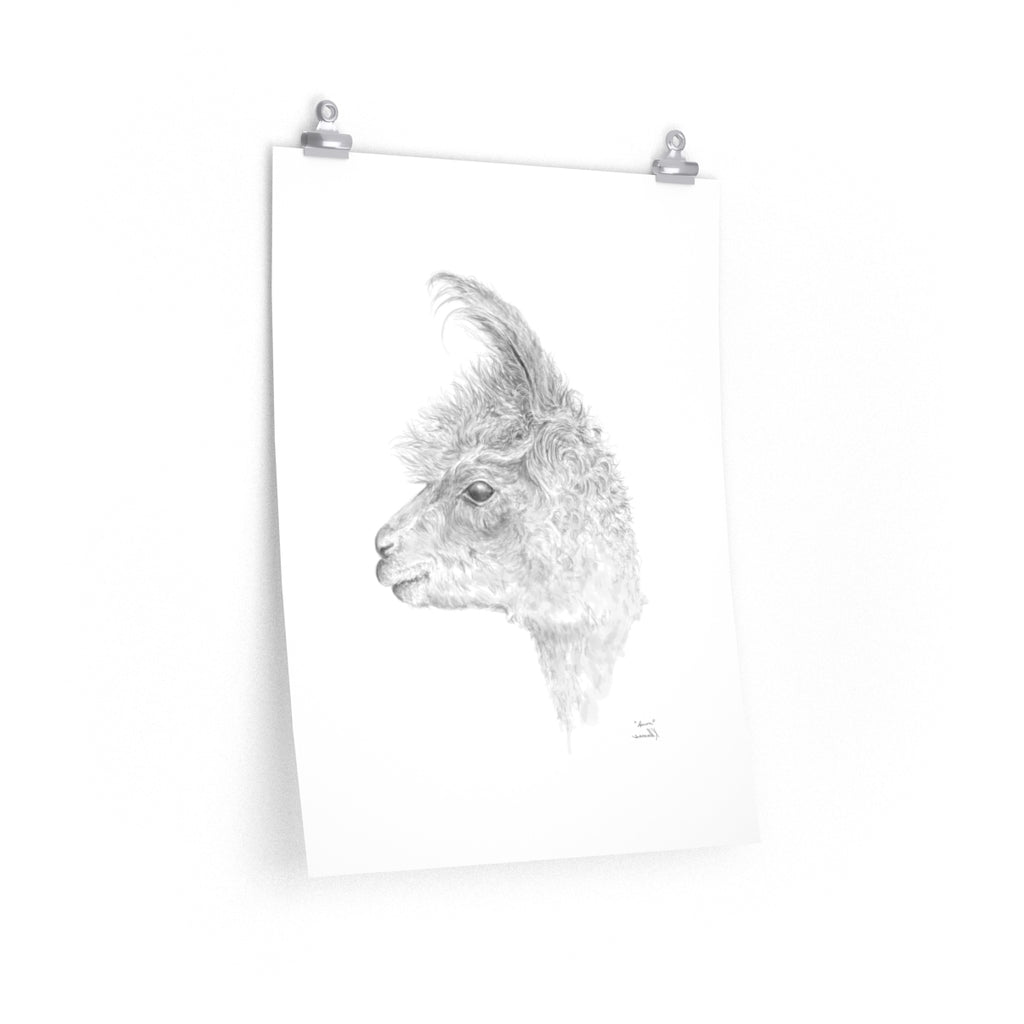AARON Llama- Art Paper Print