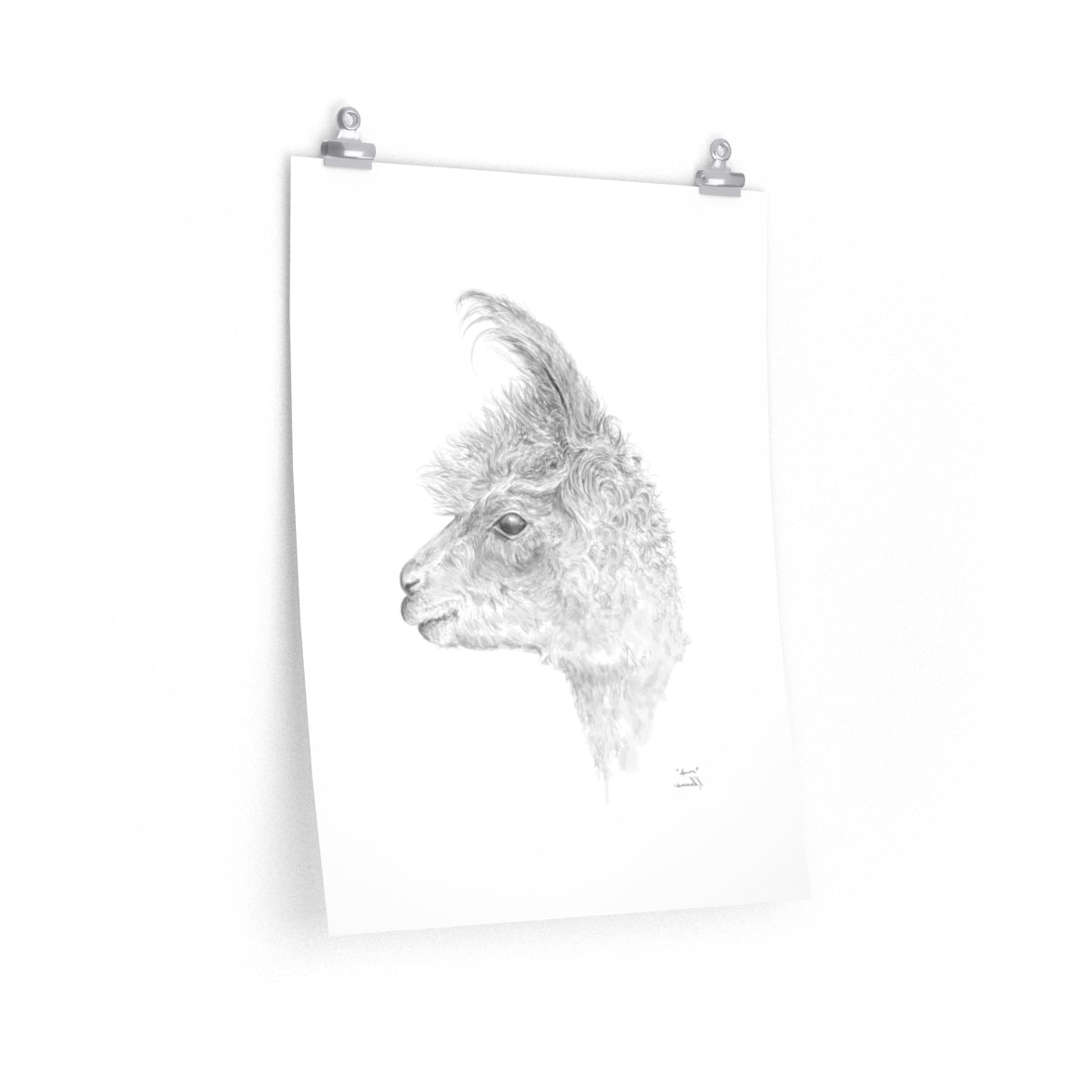 AARON Llama- Art Paper Print