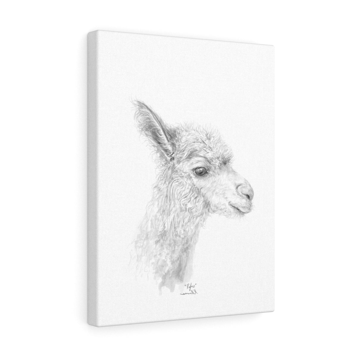 RUFUS Llama - Art Canvas