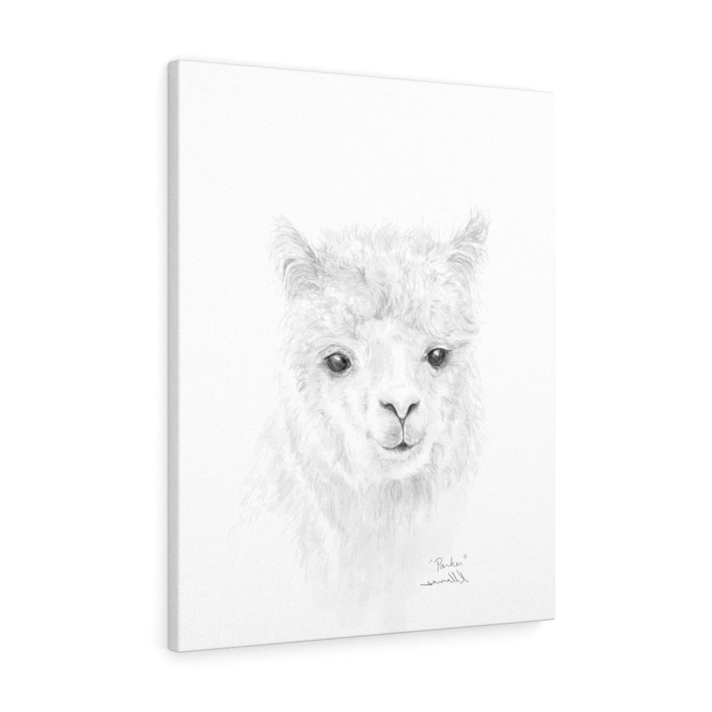 PARKER Llama - Art Canvas