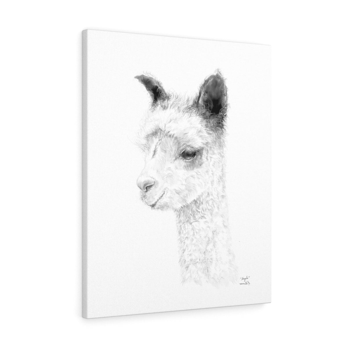 ANGELA Llama - Art Canvas