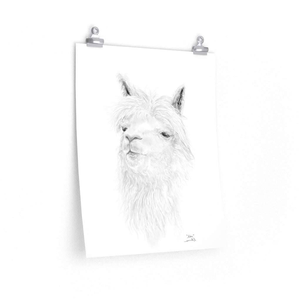 ASHA Llama- Art Paper Print