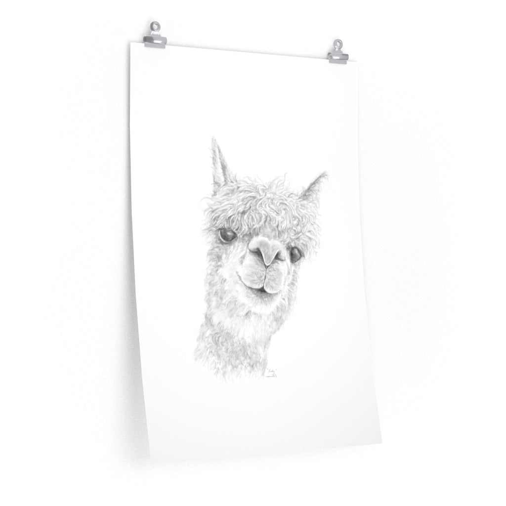 KENLEY Llama- Art Paper Print
