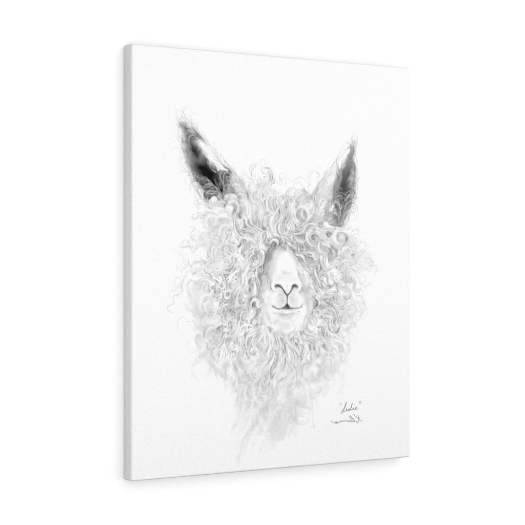 LESLIE llama- Art Canvas
