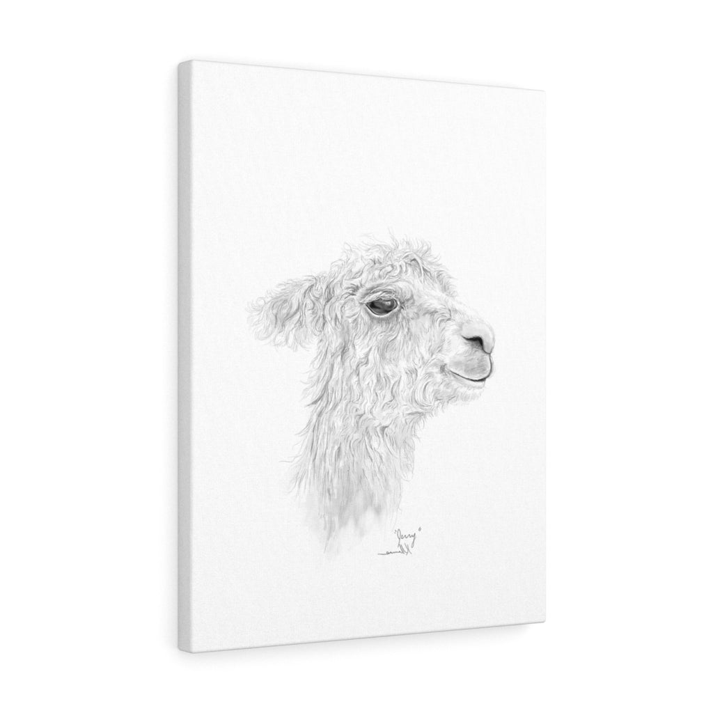 JERRY Llama - Art Canvas