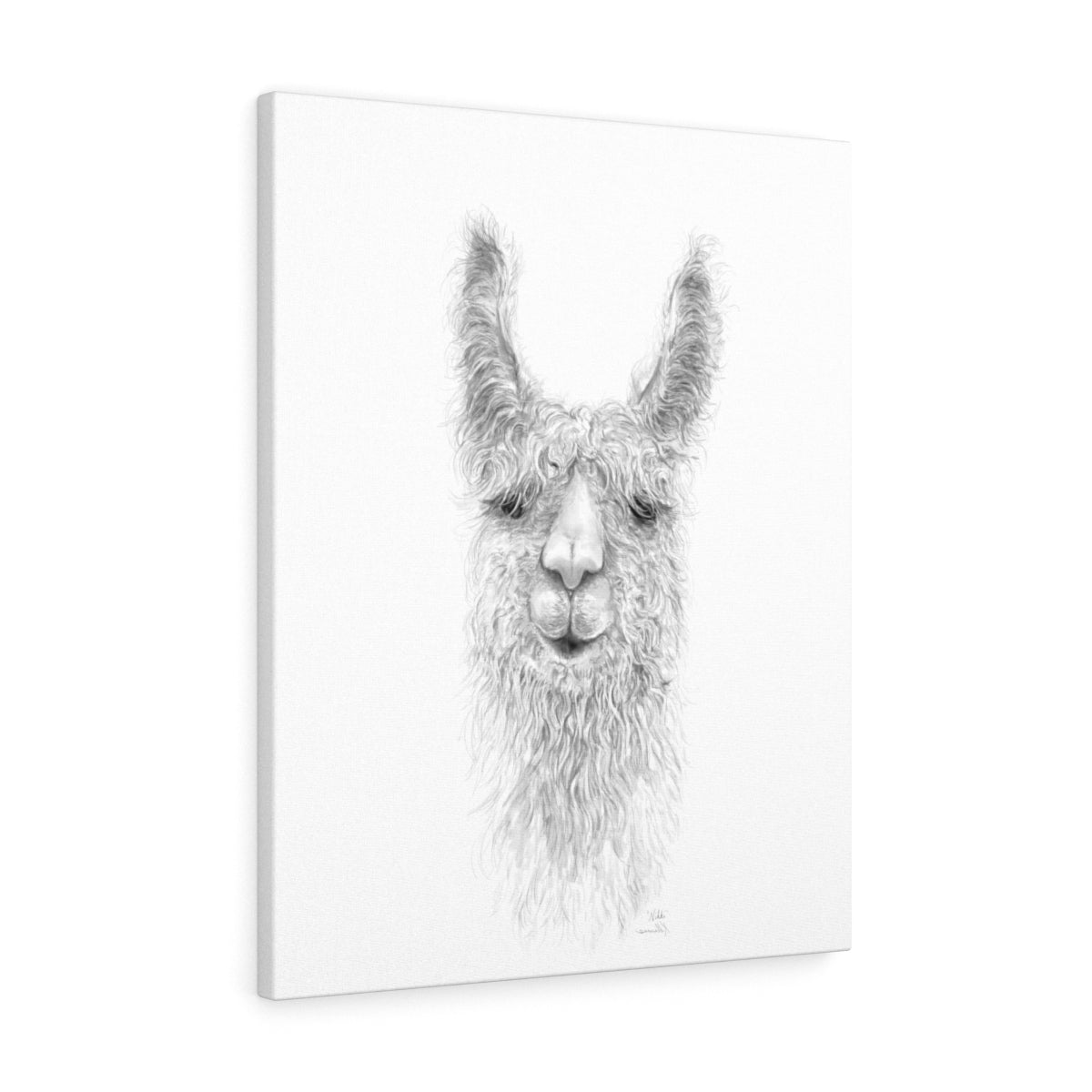 Nikki Llama - Art Canvas