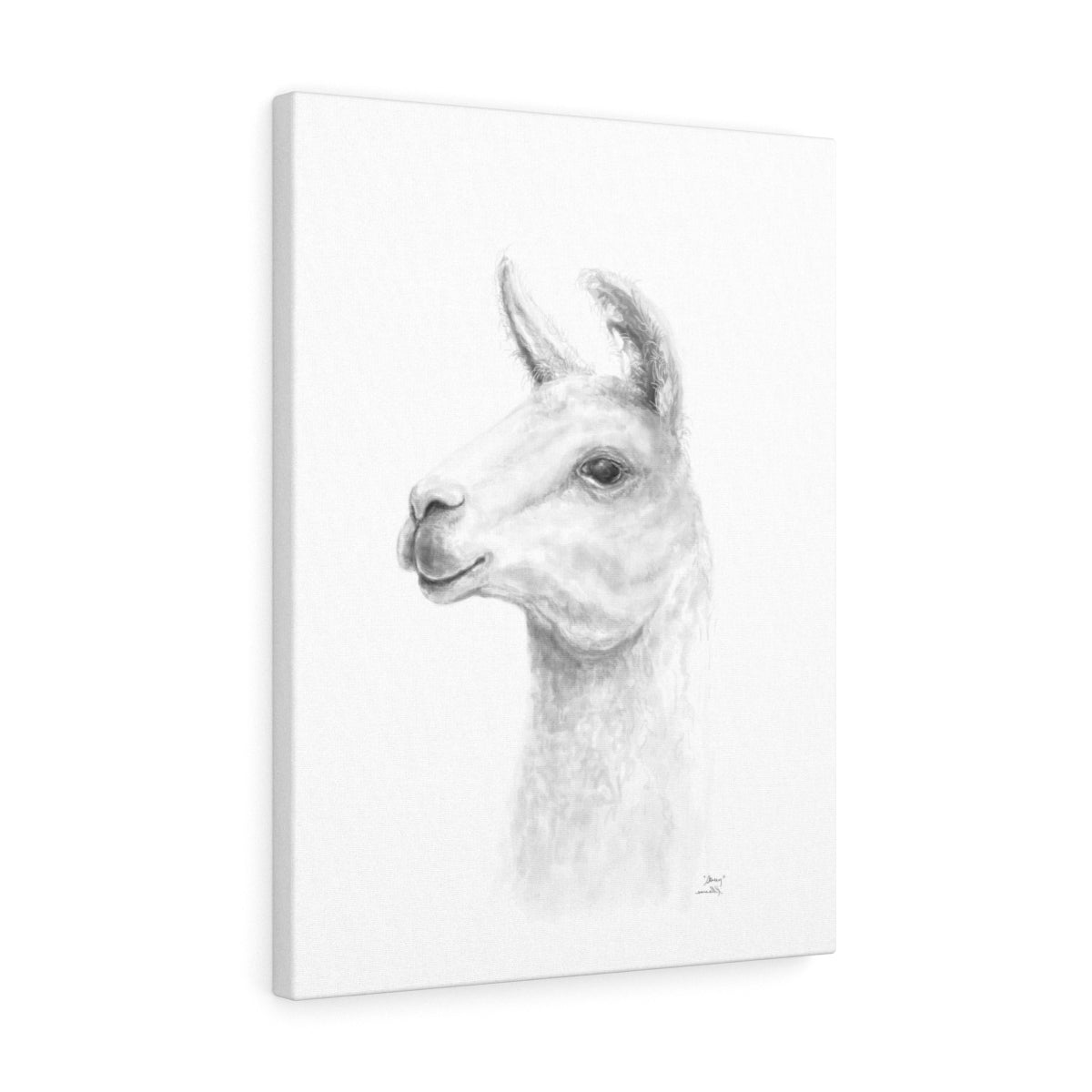 STACY Llama - Art Canvas