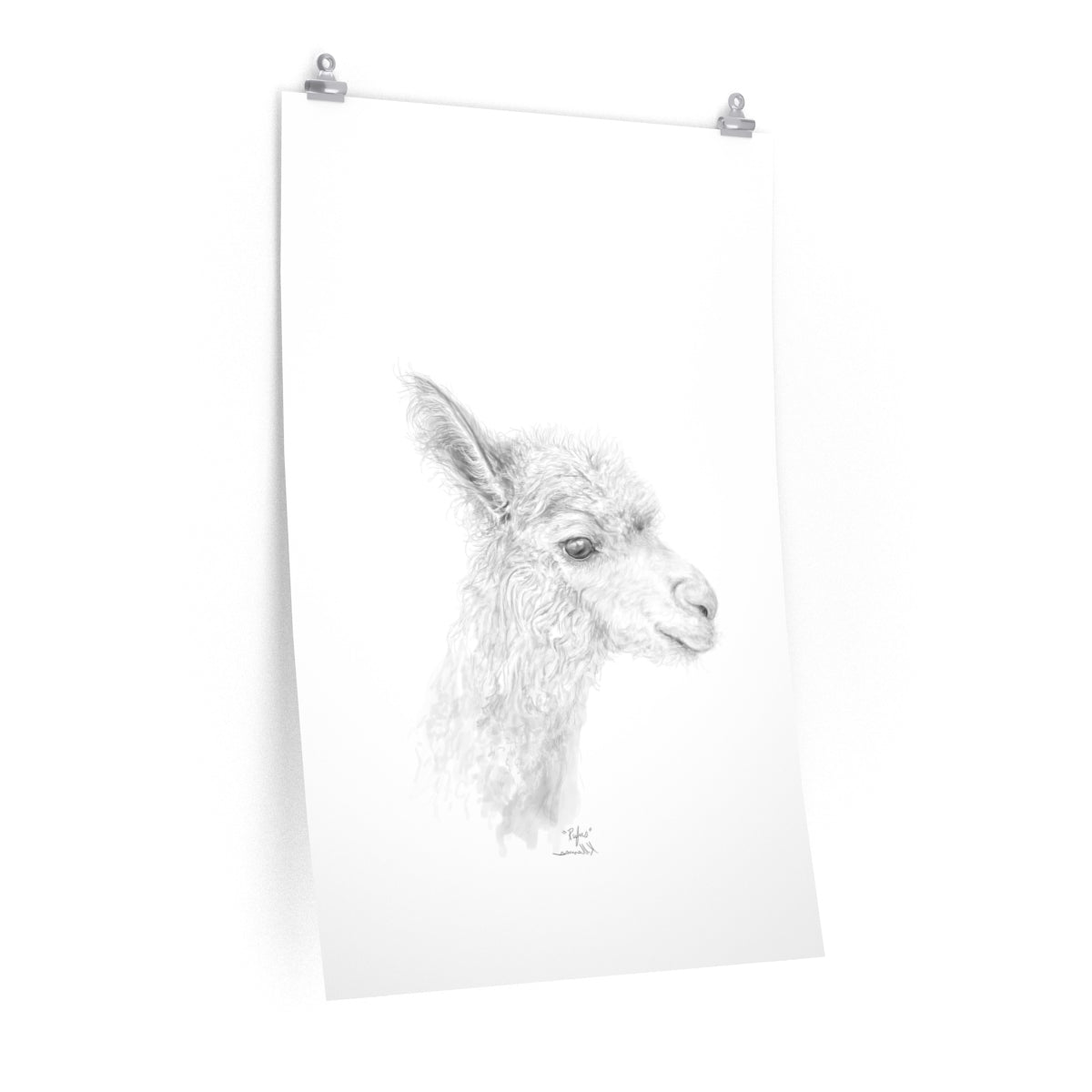 RUFUS Llama- Art Paper Print