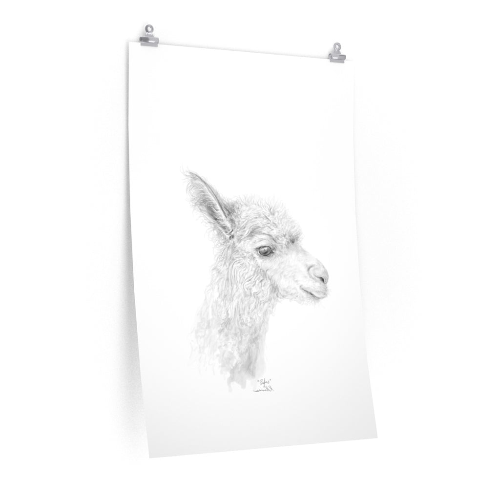 RUFUS Llama- Art Paper Print