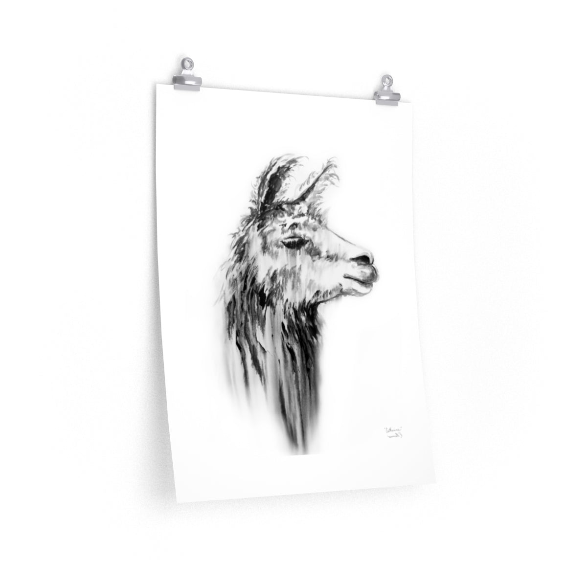CATHERINE Llama- Art Paper Print