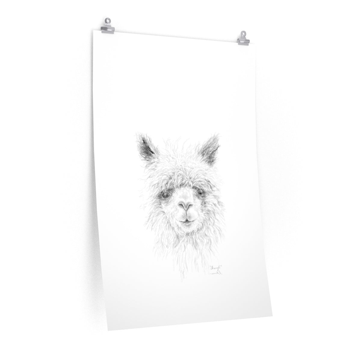 SHERYL Llama- Art Paper Print