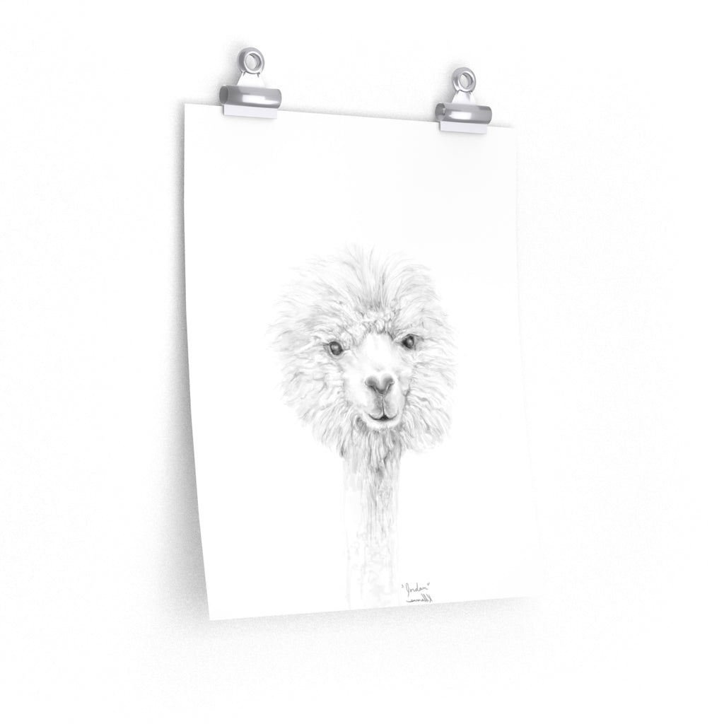 JORDAN Llama- Art Paper Print