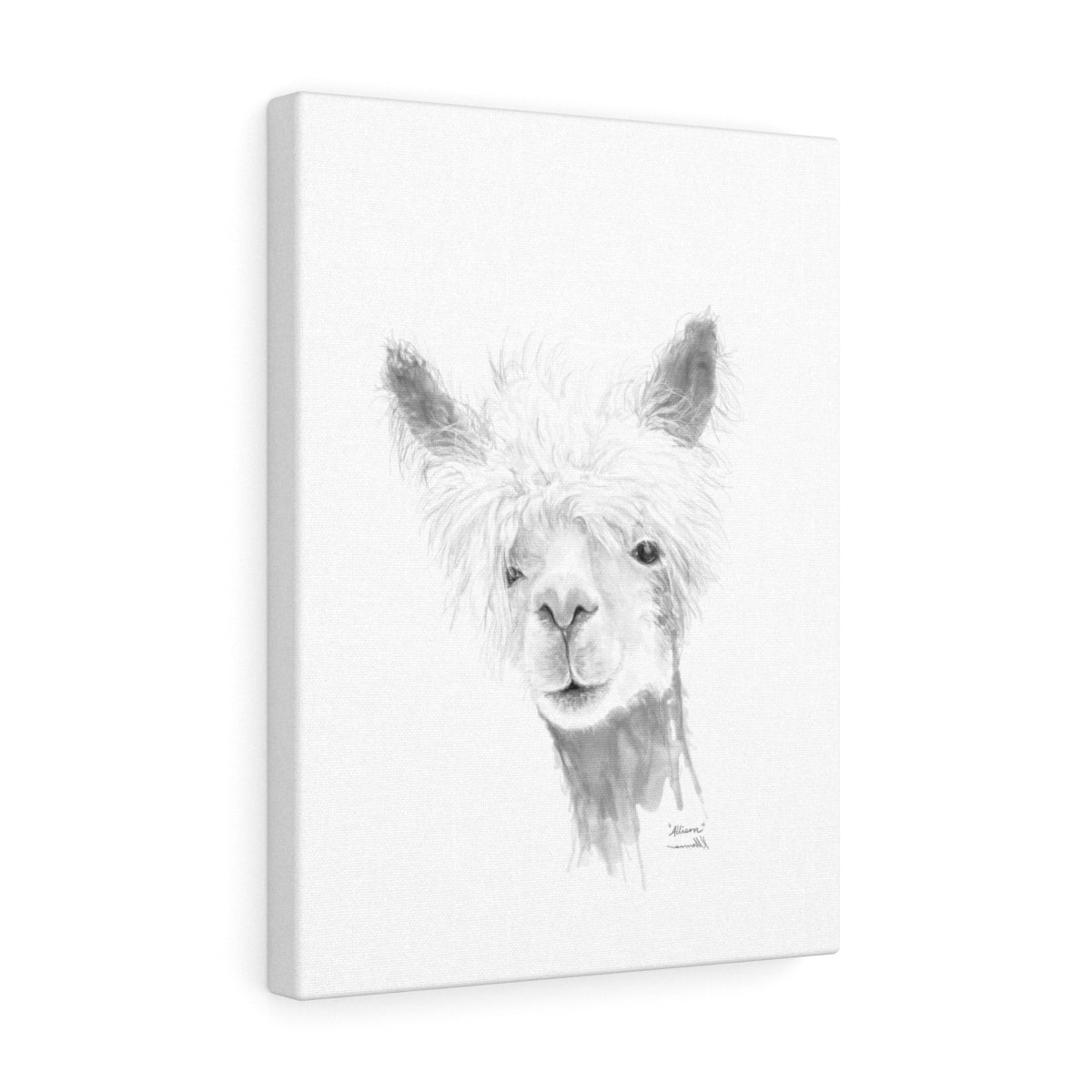 ALLISON Llama - Art Canvas