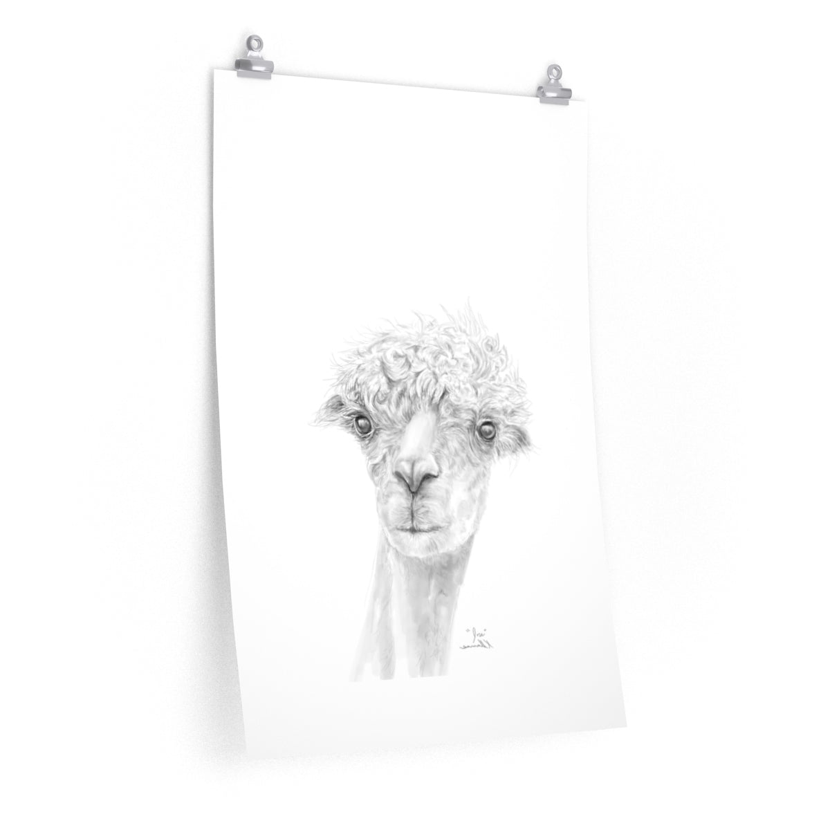 JOSE Llama- Art Paper Print