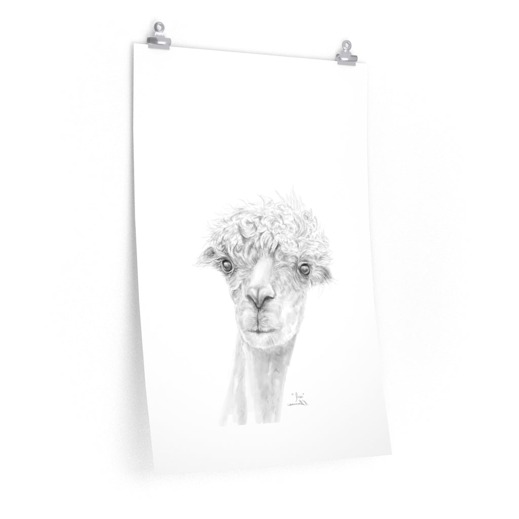 JOSE Llama- Art Paper Print