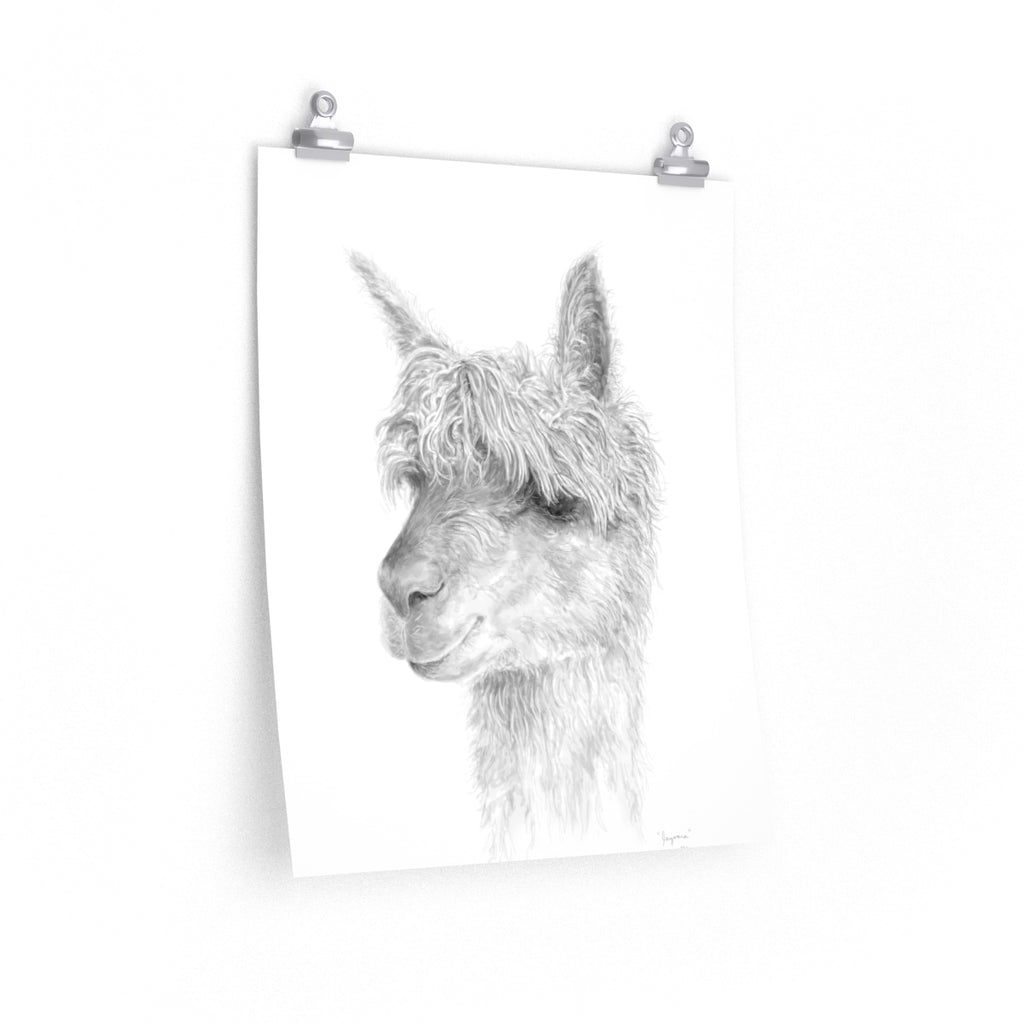 JAZOARA Llama- Art Paper Print