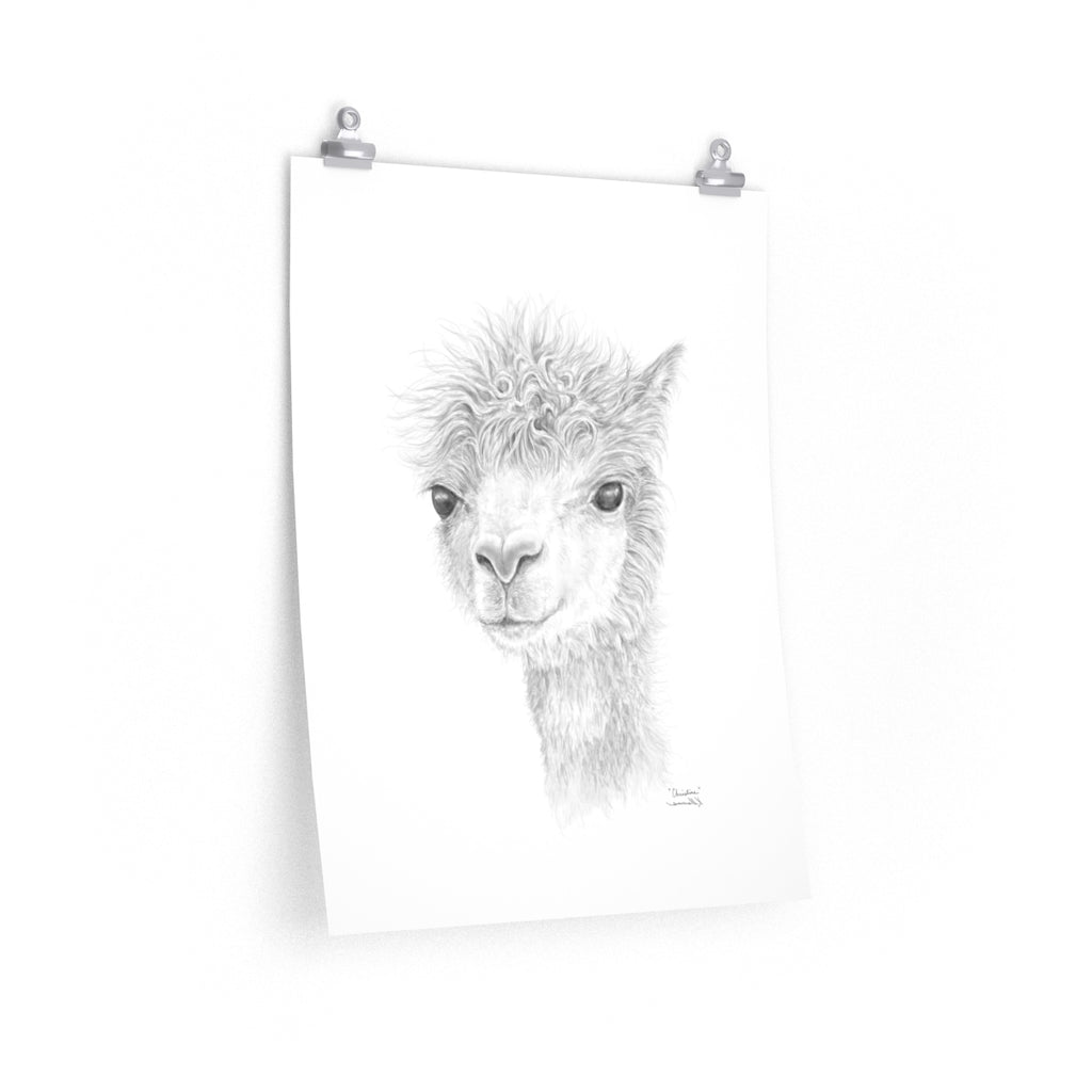 CHRISTINE Llama- Art Paper Print