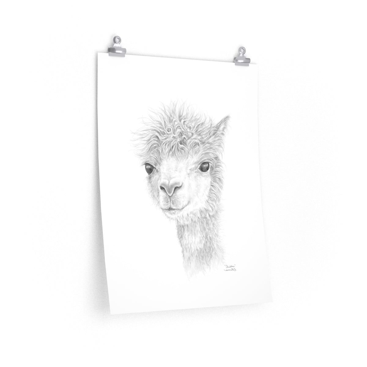 CHRISTINE Llama- Art Paper Print