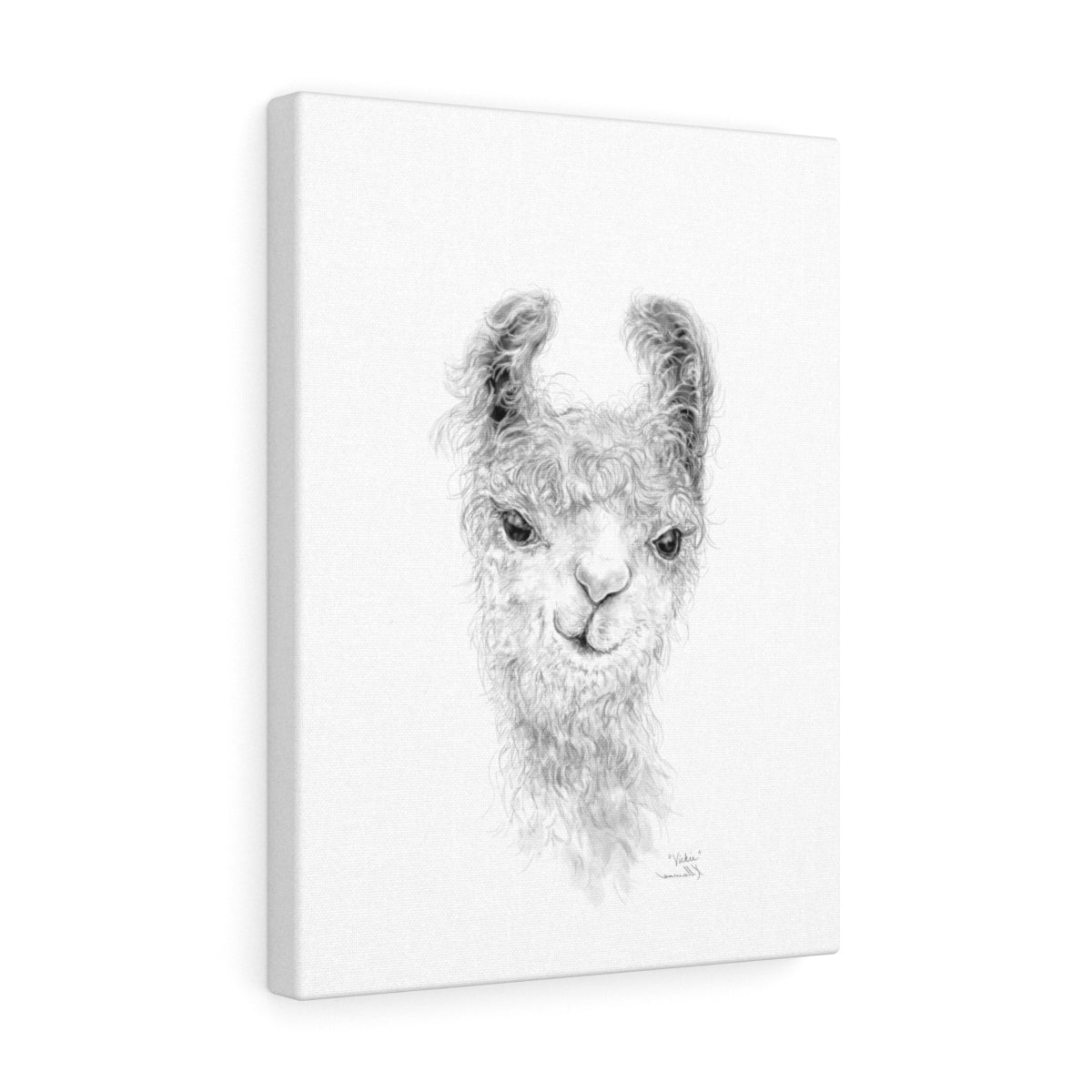 VICKIE Llama - Art Canvas