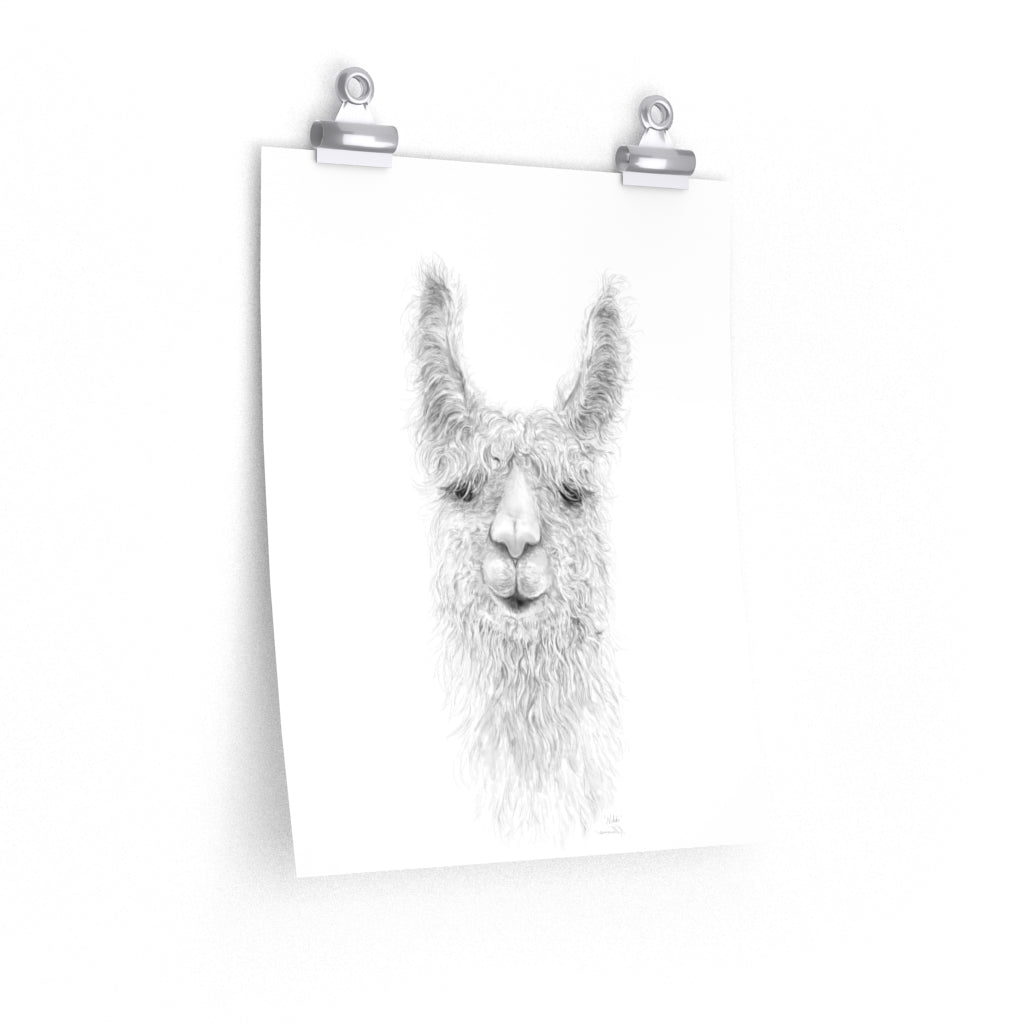 NIKKI Llama- Art Paper Print